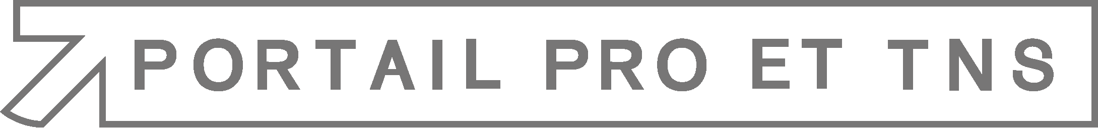 Portail-pro-tns-grey